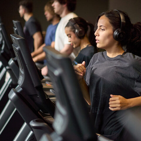 Group of people using treadmills at the gym